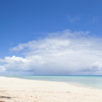 Palm tree and white sand beach panoramic view