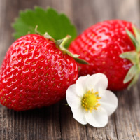 Fresh strawberry on a wooden background